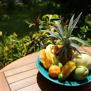 Le Talisman Appartement Goyave